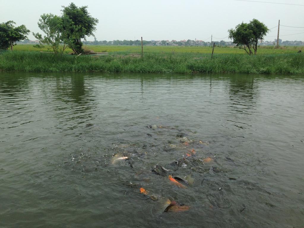 Tam Coc Homestay Ninh Binh Zewnętrze zdjęcie