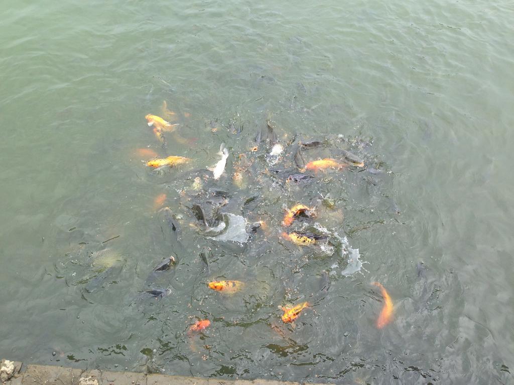 Tam Coc Homestay Ninh Binh Zewnętrze zdjęcie