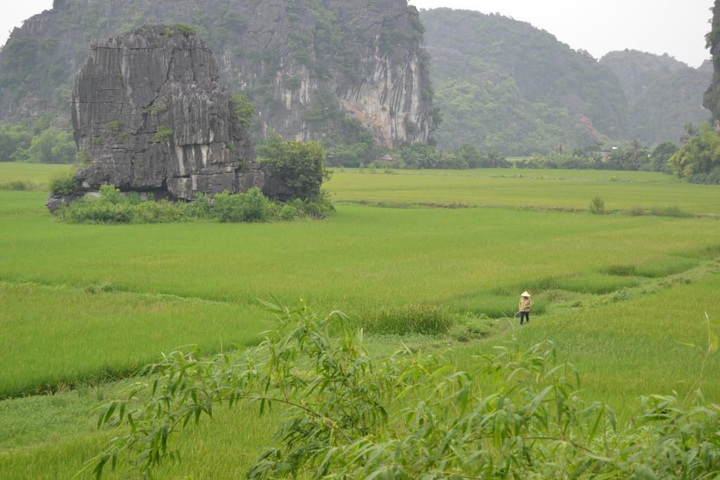 Tam Coc Homestay Ninh Binh Zewnętrze zdjęcie
